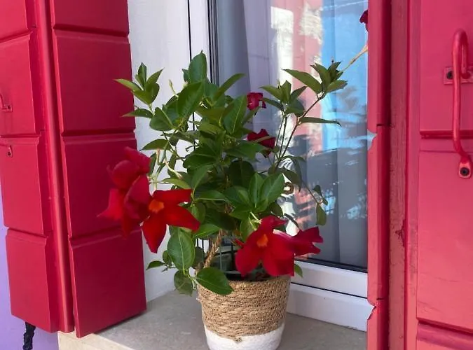 Casa Bella Prázdninový dům Burano